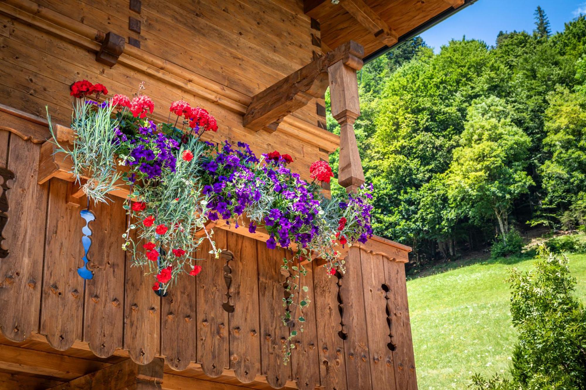 Apartament Biobauernhof Schneiderbauer Unken Zewnętrze zdjęcie